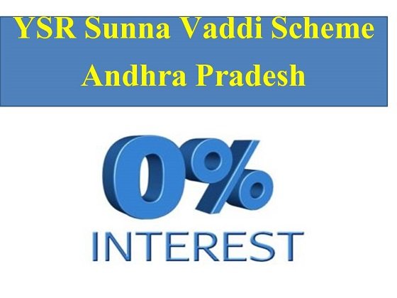 YSR Sunna Vaddi Scheme in Andhra Pradesh