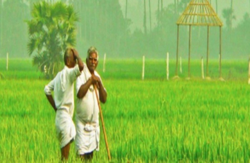 किसान कर्ज माफी योजना - प्रधानमंत्री नरेंद्र मोदी द्वारा किसानों की स्थिति में सुधार के लिए उठाए गए कदम